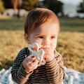 Silicone Clover Teether